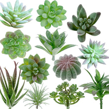 Load image into Gallery viewer, Artificial Succulents Plants 14 PCs