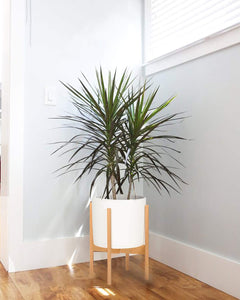 Corner Plant Stand Wooden Indoor Flower Pot Decor For Bedroom