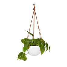 Load image into Gallery viewer, Hanging Flower Pots Modern Decor For Indoor Outdoor Plants