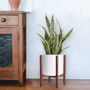 Mid Century Modern Plant Stand Retro Home Decor For Bedroom