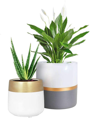 2 Pcs Ceramic Pots Indoor Home Decor with Drainage Hole