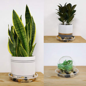 15 PCs Plant Saucers Drip Trays with 15 PCs Bamboo Plant Labels for Indoor Flower Pots indoor