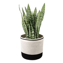 Load image into Gallery viewer, 5 PCs - Each Only 5.99 Cotton Woven Black &amp; White Plant Basket