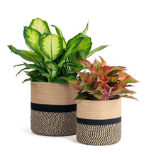 Load image into Gallery viewer, 2-Pack Sturdy Jute Rope Plant Basket
