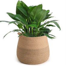 Load image into Gallery viewer, Jute Belly Plant Basket Woven Organizer For Room Storage