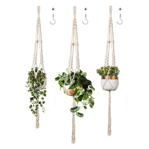 Plant Hanger Set of 3