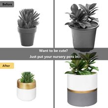 Load image into Gallery viewer, 2 Pcs Ceramic Pots Indoor Home Decor with Drainage Hole Wall Decor