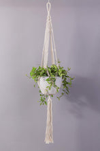 Load image into Gallery viewer, 2 Pcs Macrame Plant Holder In Different Designs Beige For Bedroom