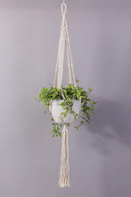 Load image into Gallery viewer, 3 Pcs Rope Plant Hanger in Different Designs Handmade Planter Bedroom