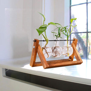 Tabletop Glass Planter