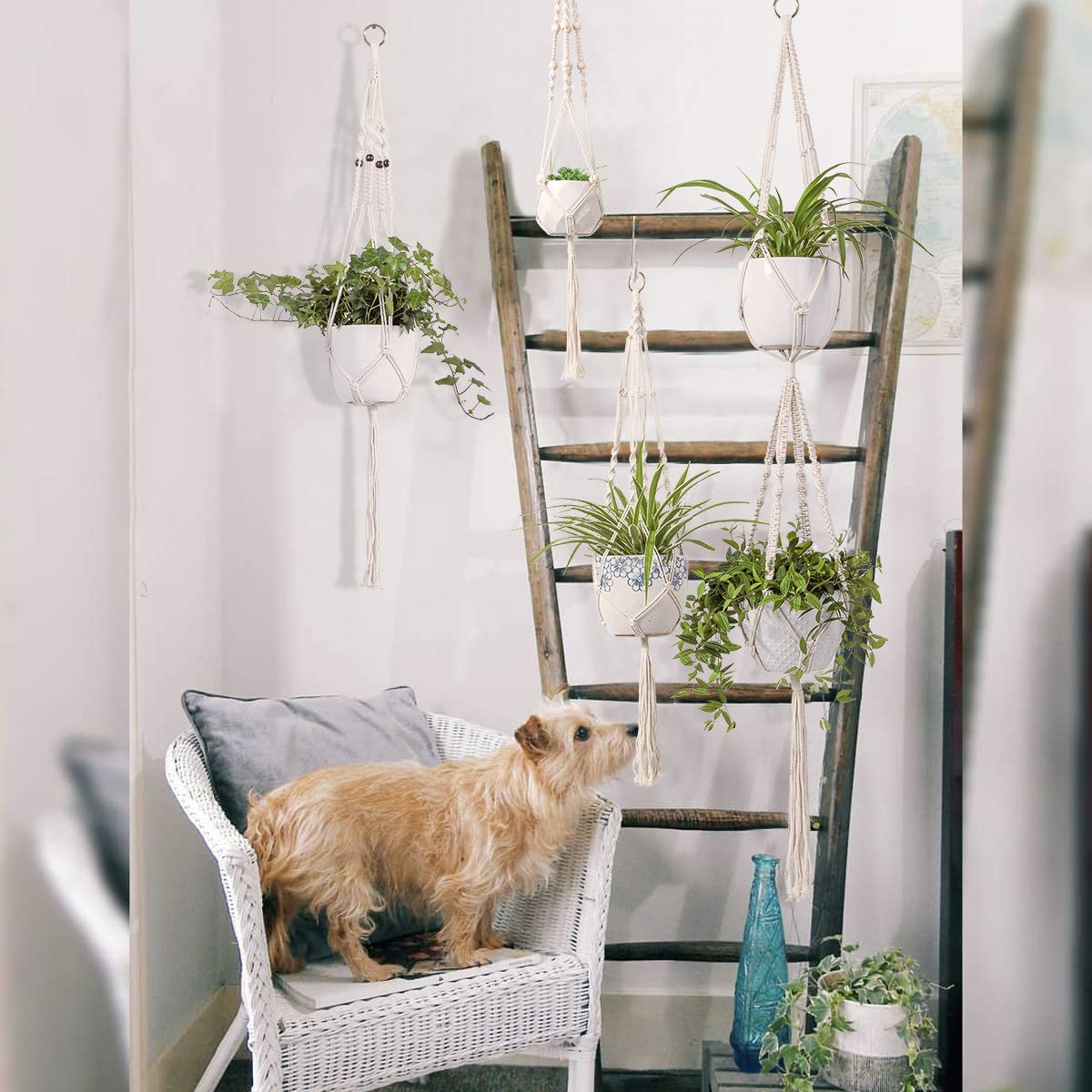 4 Pcs Macrame Plant Hanger DIY Modern Boho Home Decor Timeyard