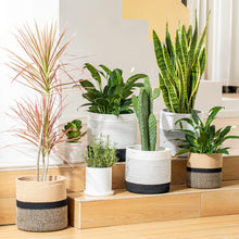 Load image into Gallery viewer, 2-Pack Sturdy Jute Rope Plant Basket