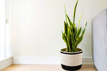 Load image into Gallery viewer, 5 PCs - Each Only 5.99 Cotton Woven Black &amp; White Plant Basket