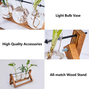 Tabletop Glass Planter