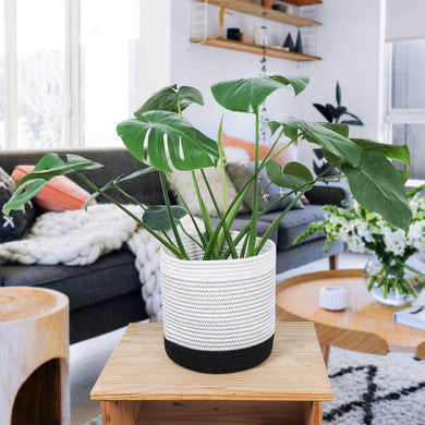 Cotton Rope Plant Basket Indoor Modern Decor For Living Room