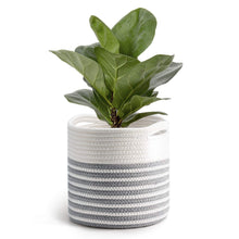 Load image into Gallery viewer, 8” x 8” Plant Basket Rustic Home Decor Grey Mix White