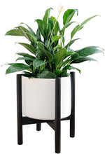 Load image into Gallery viewer, Mid Century Plant Stand, Flower Pot Wood Indoor Planter Holder