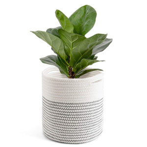Cotton Rope Plant Basket Modern Woven Basket