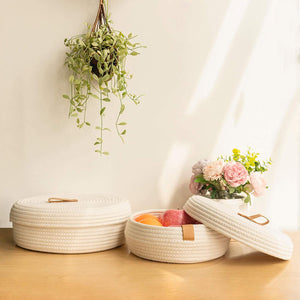 2 Pack Cute Lidded Round Small Baskets