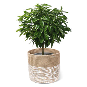 Jute and Cotton Rope Plant Basket