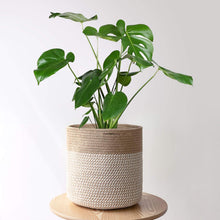 Load image into Gallery viewer, 2Pcs Rope Plant Basket 12 inches Woven Basket