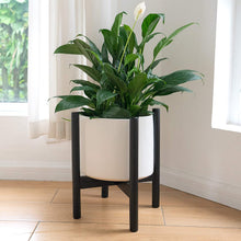 Load image into Gallery viewer, Mid Century Plant Stand, Flower Pot Wood Indoor Planter Holder