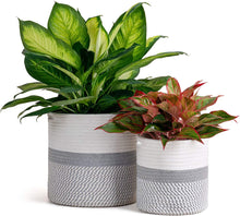 Load image into Gallery viewer, 2-Pack Cotton Rope Plant Basket White and Grey Stripes
