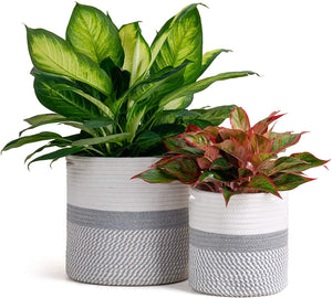 2-Pack Cotton Rope Plant Basket White and Grey Stripes