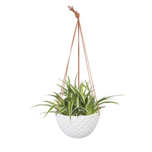 Load image into Gallery viewer, Ceramic Plant Pots Hanging Planter Home Decor