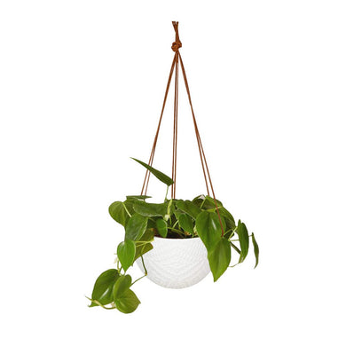 Hanging Flower Pots Modern Decor For Indoor Outdoor Plants