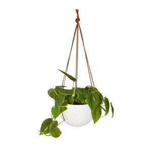 Hanging Flower Pots Modern Decor For Indoor Outdoor Plants
