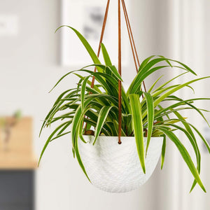 Hanging Flower Pots Modern Decor For Indoor Outdoor Plants Bedroom
