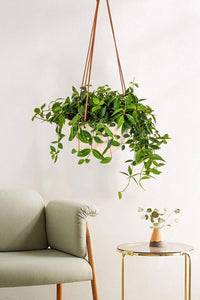 Hanging Flower Pots Modern Decor For Indoor Outdoor Plants Living Room
