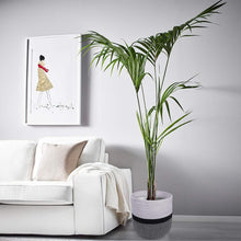 Load image into Gallery viewer, Cotton Rope Plant Basket Floor Indoor Planters 11&quot; x 11&quot; Gray and White Stripe living room indoor planter