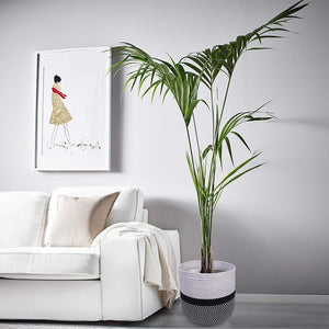 Cotton Rope Plant Basket Floor Indoor Planters 11" x 11" Gray and White Stripe living room indoor planter