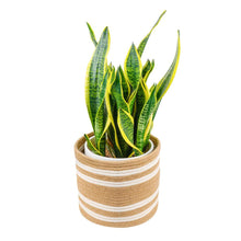Load image into Gallery viewer, Jute woven plant basket 10” x 10” Storage Organizer Basket