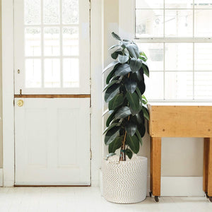 Large Laundry Hamper Toy Storage Baskets for Kids Playroom Living Room Nursery Bin plant basket