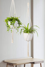 Load image into Gallery viewer, Macrame Wall Plant Hanger Hanging Planter Wall Art For Living Room
