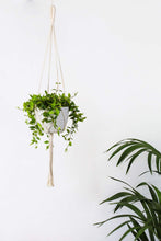 Load image into Gallery viewer, Macrame Wall Plant Hanger Hanging Planter Wall Art For Bedroom