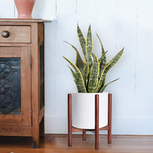 Load image into Gallery viewer, Mid Century Modern Plant Stand Retro Home Decor For Bedroom