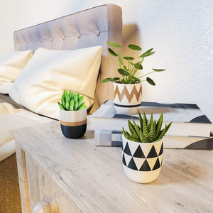 Modern Plant PotS Flower Pots Mini Planter Indoor Bedroom