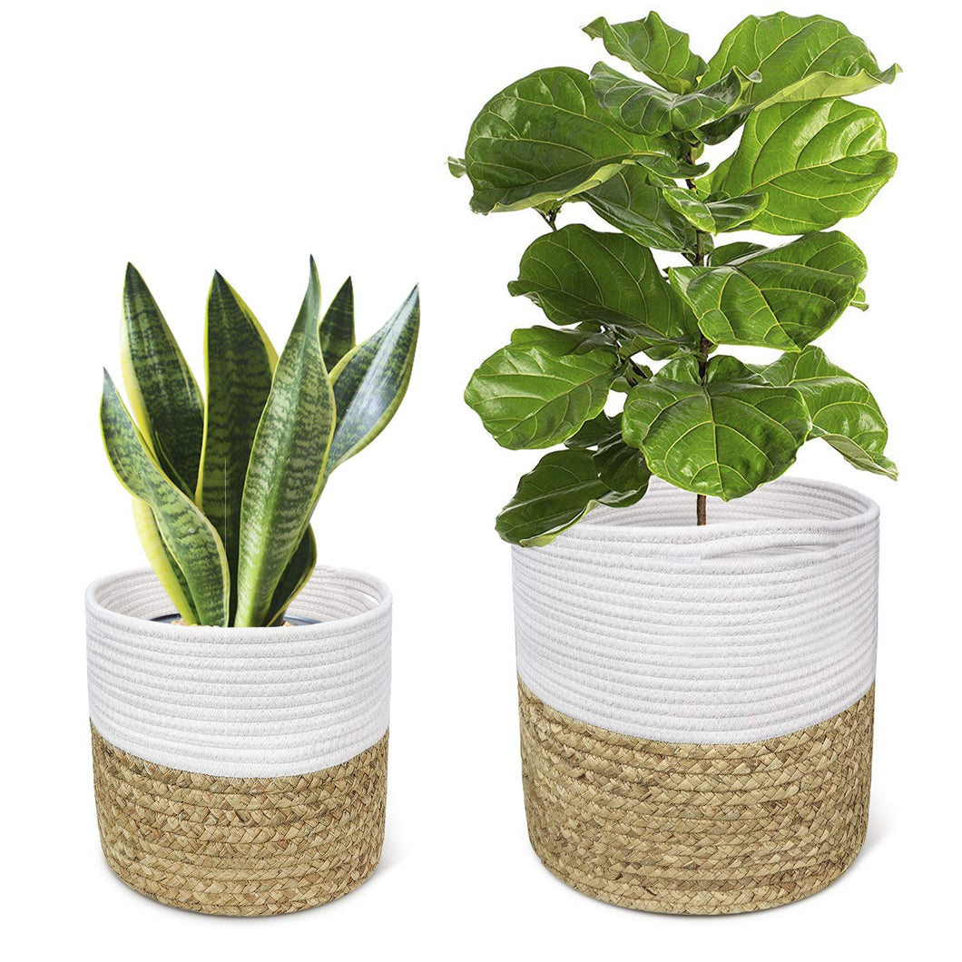 2 Pcs Plant Basket Indoor Hyacinth Planter Home Decor