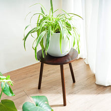 Load image into Gallery viewer, Small Round Side Table Indoor Tall Plant Stand For Living Room