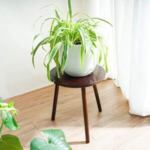 Small Round Side Table Indoor Tall Plant Stand For Living Room