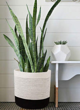 Load image into Gallery viewer, Small Wicker Baskets For Flower Pot Indoor Planters 11” x 11” For Bedroom
