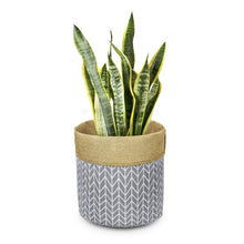 Load image into Gallery viewer, Plant Basket Indoor Planter Up to 12 Inch Flower Pot Grey