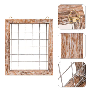Air Plant Frame Wall Hanging