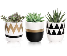 Load image into Gallery viewer, Timeyard Modern Plant Pots Flower Pots Mini Planter Indoor