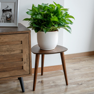 TIMEYARD Indoor Plant Stand,Tall Plant Stool, Triangle Side Table, Brown
