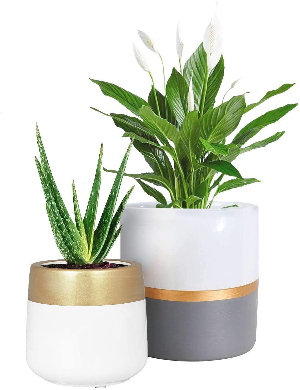 2 Pcs Ceramic Pots Indoor Home Decor with Drainage Hole